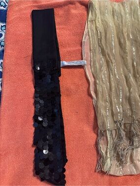 Black Sequin Skinny Scarf & Lane  Bryant Scarf